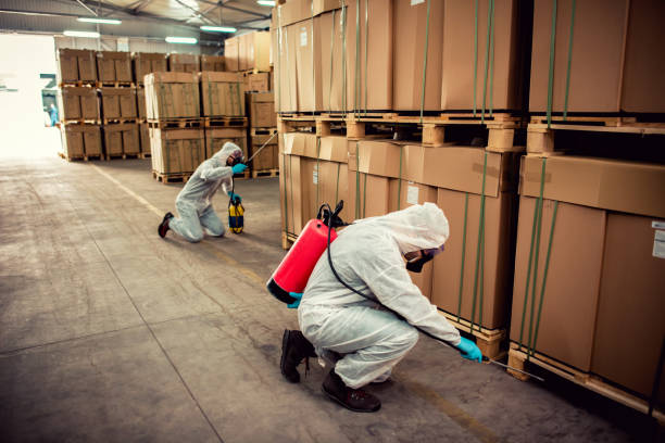 Trusted Vineyards, FL Pest Control Experts