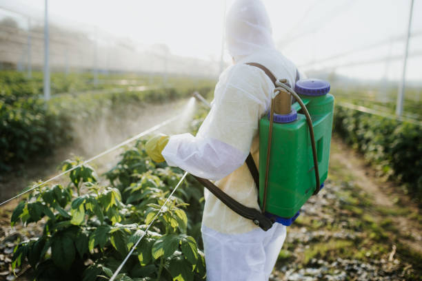 Pest Control for Restaurants in Vineyards, FL